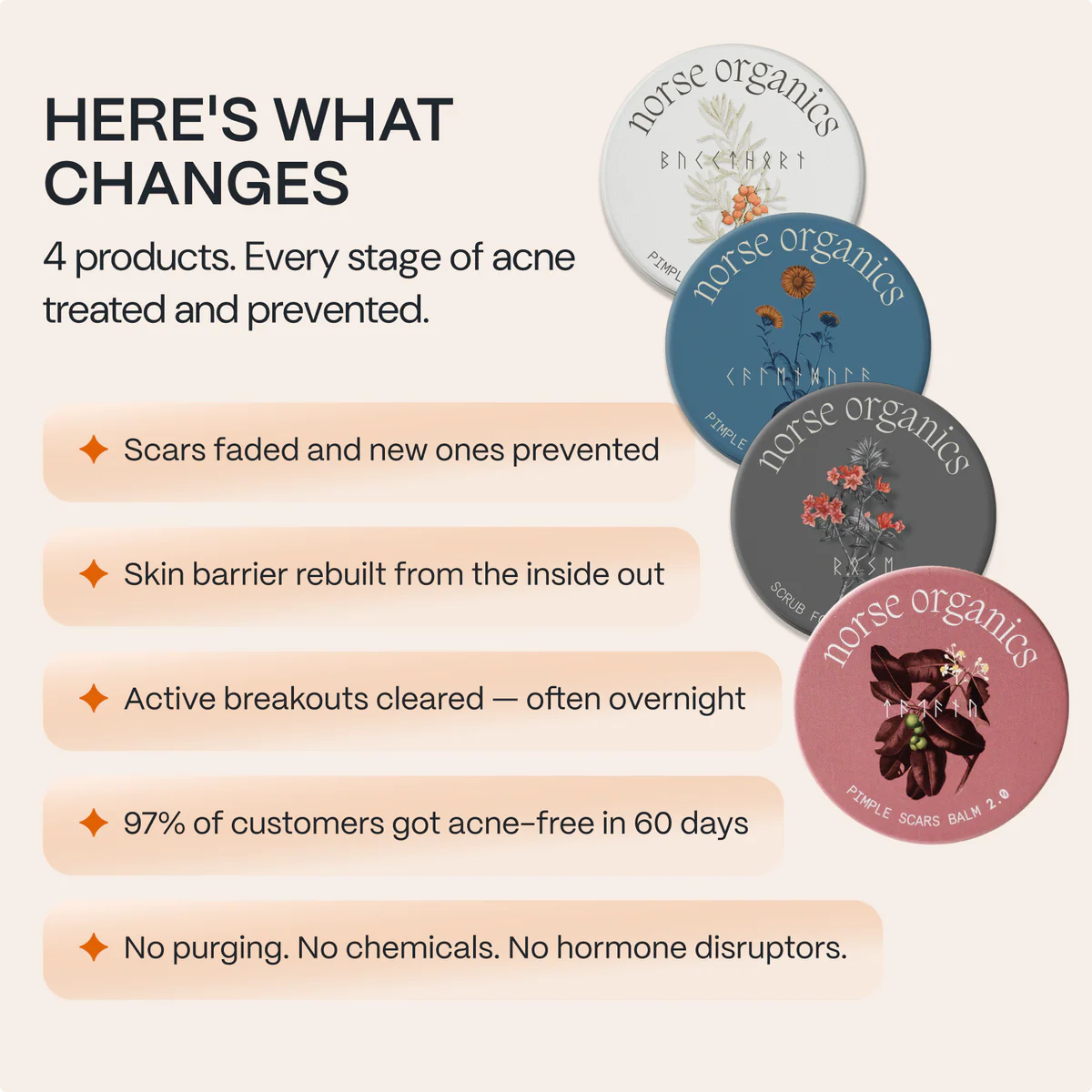 The Complete Acne Killer System 2.0